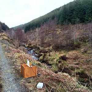 Moth trapping at Vyrnwy